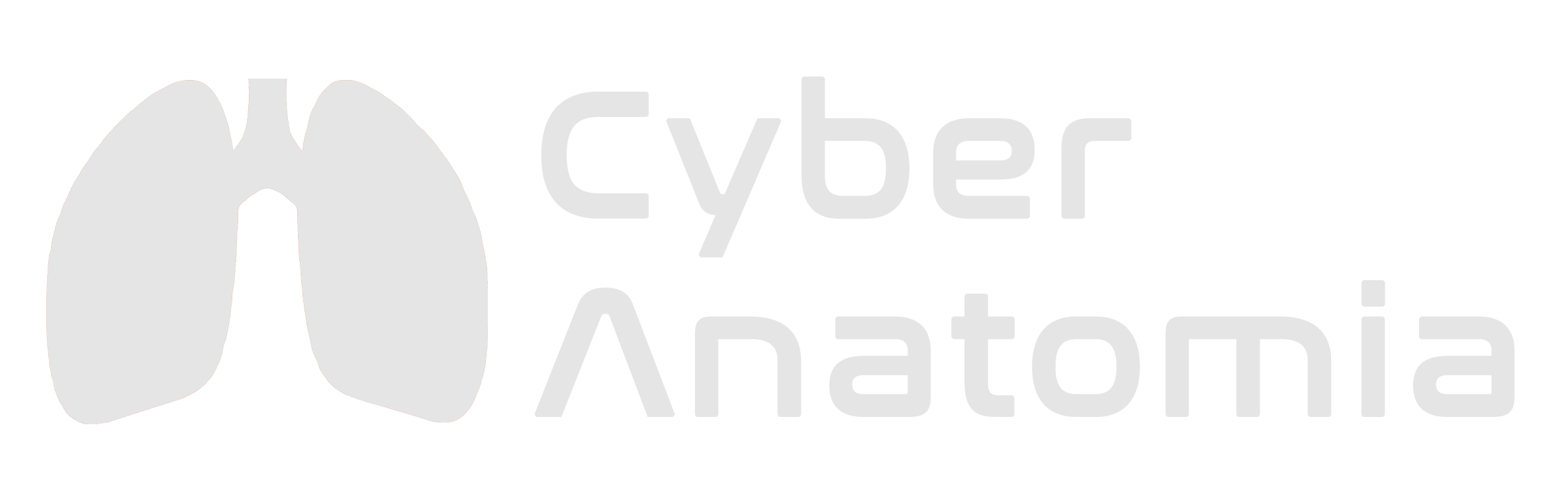 cyber anatomia